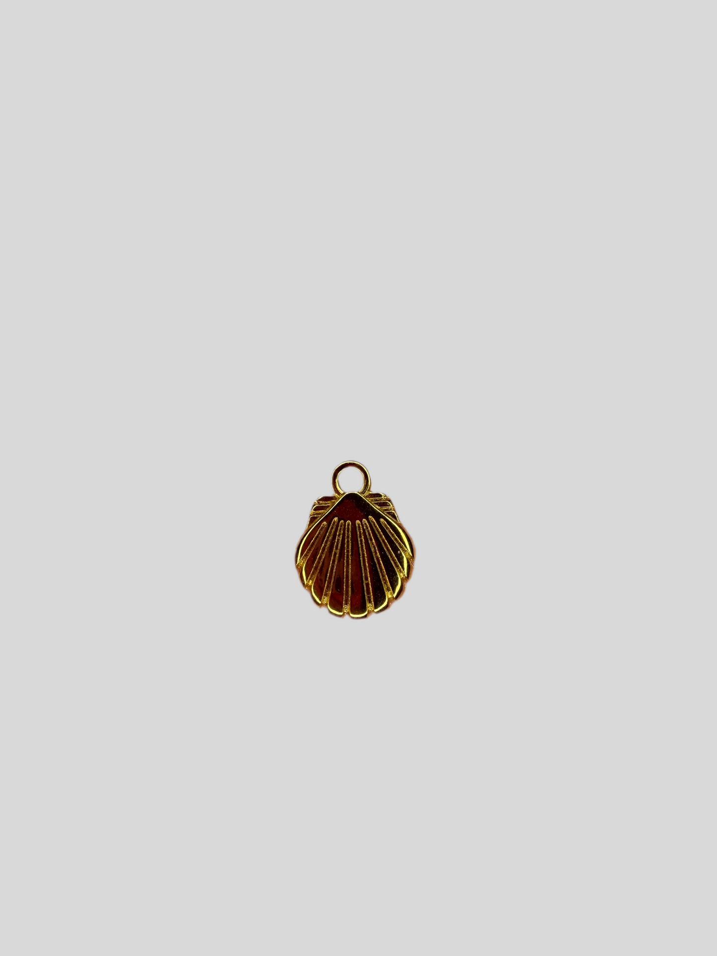 Muschel Anhänger Gold
