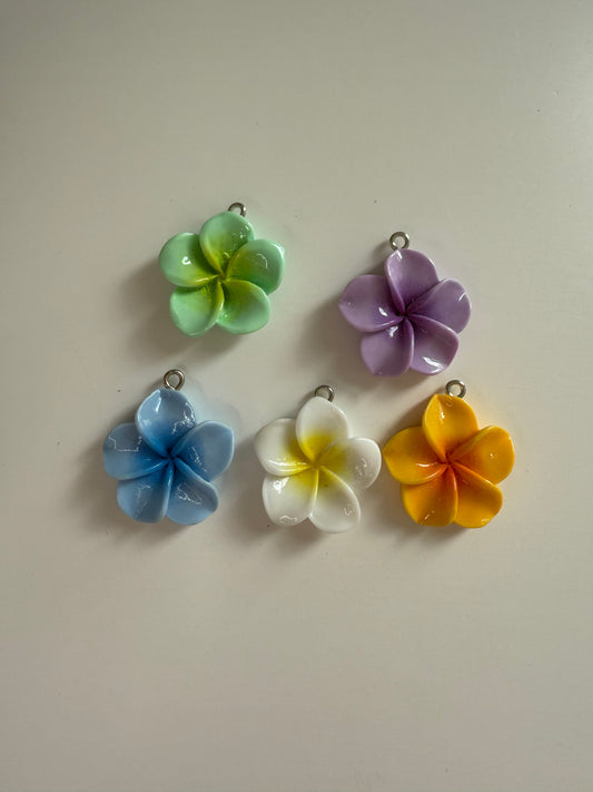 Hawaii Blume